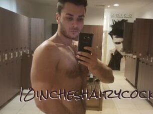 10incheshairycock