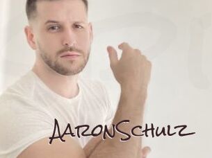 AaronSchulz Spicy Blogs
