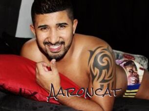 Aaroncat