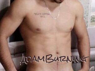 AdamBurning