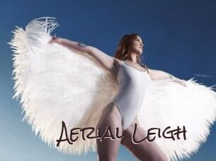 Aerial_Leigh
