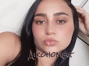 Aikohomeg