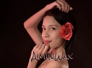 AiminWax