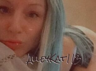 AlleyKat113