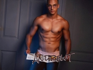 AndrewT