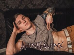 AndyHandyX