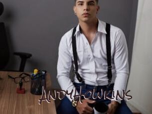 AndyHowkins