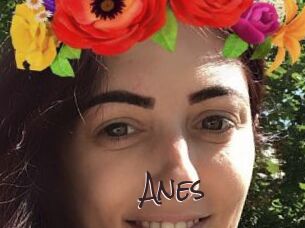 Anes