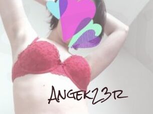 Angek23r