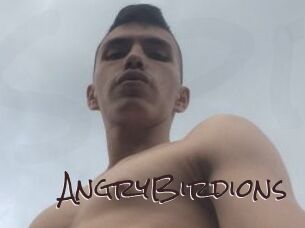 AngryBirdions