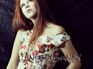 AngryBunny