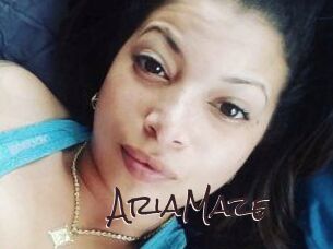 Aria_Maze