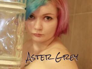 Aster_Grey