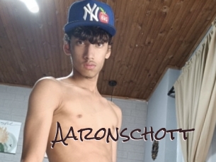 aaronschott Spicy Blogs