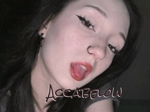 accabelow Spicy Blogs