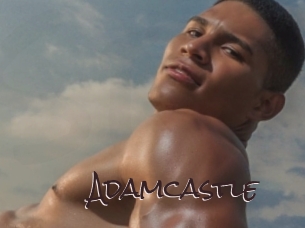 adamcastle Spicy Blogs