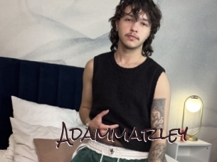 adammarley Spicy Blogs