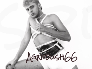 Agnidush66
