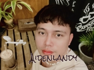 Aidenlandy