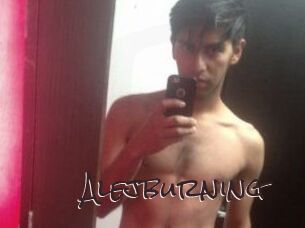 Alejburning