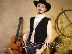 alexbrinez Spicy Blogs