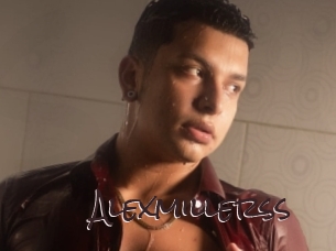 alexmillerss Spicy Blogs