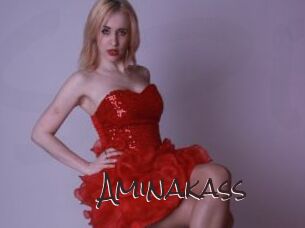 Aminakass