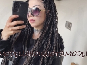 Amodelwhoisnotamodel