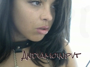 Andiamoinpvt