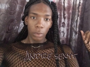 Andre_sexyt