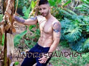 Andresdavidhot