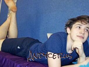 Andycerus