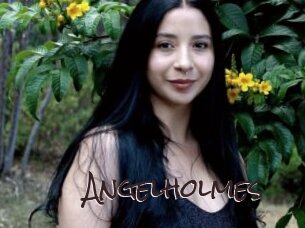 Angelholmes