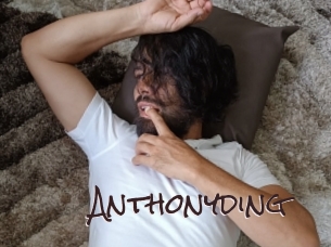 anthonyding Spicy Blogs