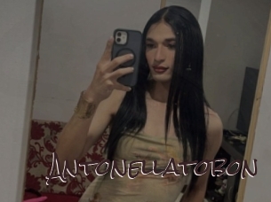 Antonellatobon