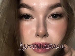 Antoniabasil