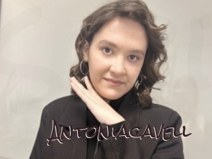 Antoniacavell