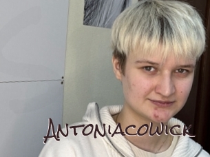 Antoniacowick