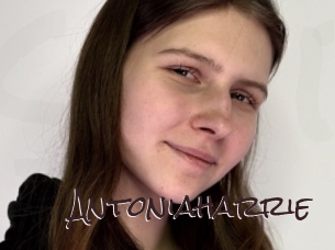 Antoniaharrie