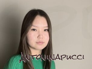 Antoninapucci