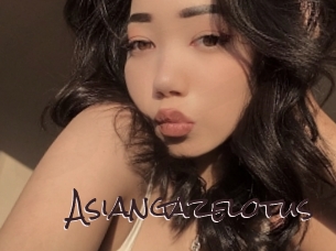 Asiangazelotus