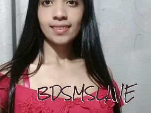 BDSMSLAVE