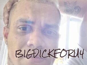 BIGDICKFORU4