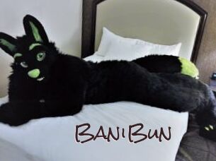 BaniBun