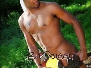 BidDjiggle