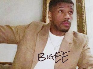 BigEE