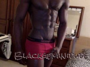 Blackgeminidude