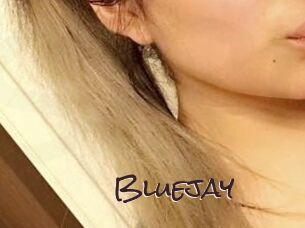 Blue_jay