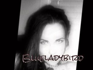 Blueladybird