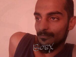 BobX